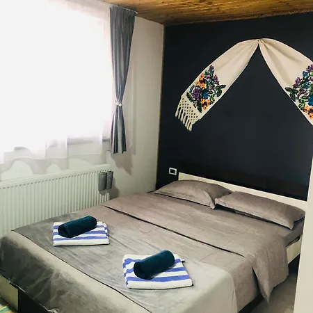 Holiday home La Batranu Borsa (Maramures)